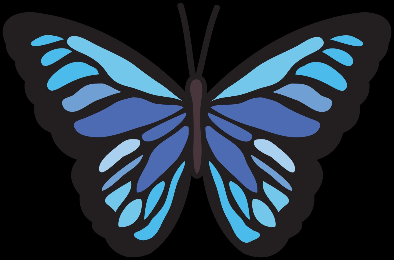 Butterfly full color