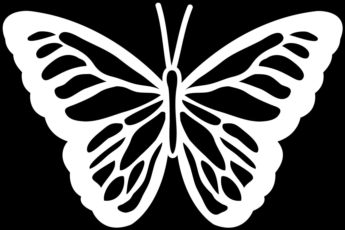Butterfly white